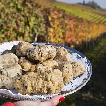 Awesome In דירה Monforte dʼAlba