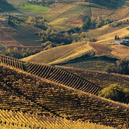 Awesome In * Monforte dʼAlba